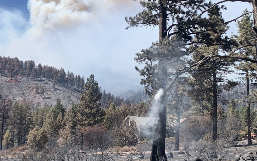 Davis Fire News Release – USFS